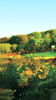honeywood hotel